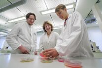Schüler im Labor