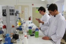 Die Schüler testen die Trinkmilch auf ihre mikrobiologische Reinheit