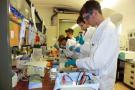 ATA's arbeiten im Biotech-Labor