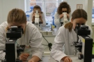 Vier Personen blicken jeweils durch ein Mikroskop